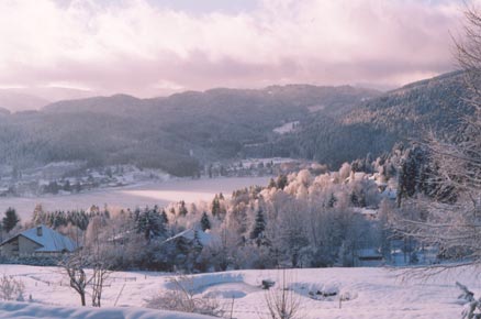 lac de gérardmer sous la neige